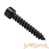  DL Audio Gryphon lite Hex Screw 6mm Саморезы