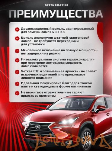 NTS AUTO A53 H7/H18, 12-24V, 12W, 6300K (2шт)