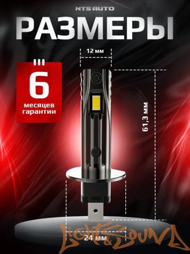 NTS AUTO A53 H1, 12-24V, 12W, 6300K (2шт)