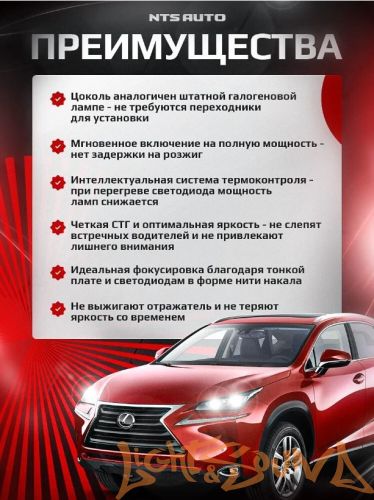 NTS AUTO A53 H1, 12-24V, 12W, 6300K (2шт)