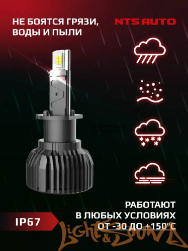 NTS AUTO C10 H1  12-24V, 45W, 6300K (2шт)
