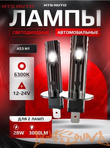 NTS AUTO A53 H1, 12-24V, 12W, 6300K (2шт)