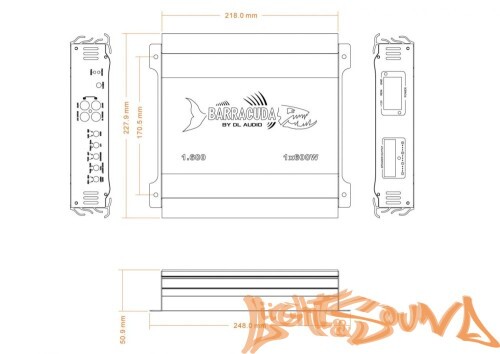 Усилитель мощности 1-канальный DL Audio Barracuda