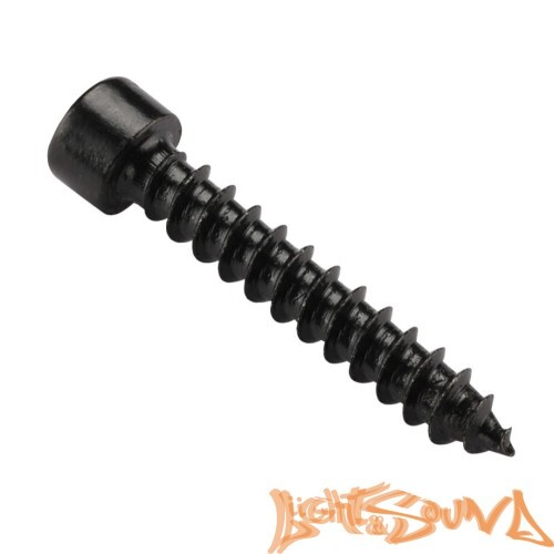 DL Audio Gryphon lite Hex Screw 6mm Саморезы