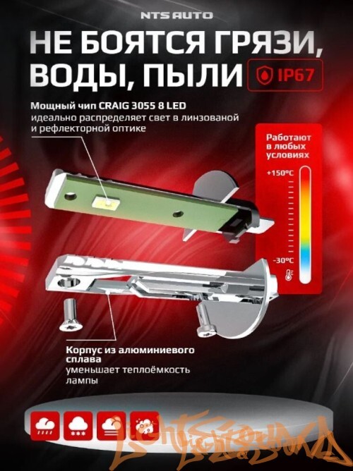NTS AUTO A53 H1, 12-24V, 12W, 6300K (2шт)
